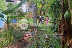 Bán đất hẻm ô tô bình chuẩn 66 tp. thuận an