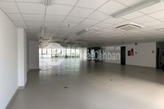 Cho thuê văn phòng ưu tiên qui mô nhỏ 30 50m2