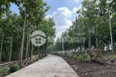 Chính chủ cần bán gấp vườn 1.180m² view suối, đồi thung lũng chỉ 1 tỷ trọn sổ