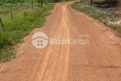 Bán đất nền thổ cư tại minh thạnh dầu tiếng bình dương giá chỉ 3xx k chi phí phát sinh