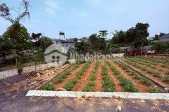 Cần tiền bán gấp 60m2 sen trì rẻ nhất thị trường