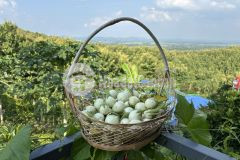 Đất vườn nghỉ dưỡng view suối thung lũng xoài siêu chill tại la ngà, định quán