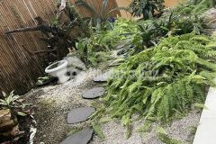 Biệt thự sân vườn ngang 12m sadeco phước kiểng không gian sống lý tưởng cho gia đình