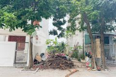 Bán đất đẹp hướng tây nam đường chu văn khâm, khai quang, vĩnh yên, vĩnh phúc