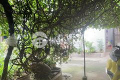 Gần 80trm2 đất 30m ra phố ôtô vào đất full thổ cư giá đầu tư nguyễn khoái hoàng mai