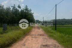 Bán đất hà thị kiểm, xã phú mỹ hưng, củ chi 10 x 74, giá 1,6tỷ