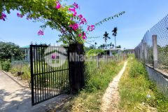 Bán đất tịnh thọ cách vsip 15 phút đi xe máy giá 370 triệu lh 03 4846 8889