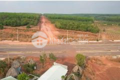 Bán đất nền mặt tiền đường xuyên tâm đồng phú bình phước cũ giá chỉ 3xx