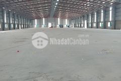 Nhà xưởng tại đường 204 chí dân. khoái châu. hưng yên