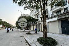 Bán nhà phố thuận antrâu quỳgia lâmhiếm,4 tầng mặt tiền 6m áp góc,gần hồ điều hòa