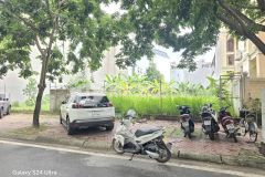 Bán lô đất biệt thự mặt đường đôi mai hắc đế, kđt tuệ tĩnh, tây hp, 195m2, mt 12m