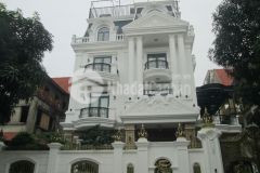 Ngộp bank bán gấp biệt thự kđt văn quán gần hồ văn quán 238m2 chỉ 44.x tỷ. lh 0989626116