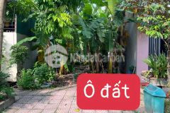 Bán đất 100m2 hướng đông bắc khu giàn chiếu, hợp thịnh, tam dương, vĩnh phúc