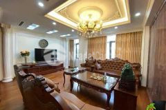 Cực hiếm. shophouse terra an hưng mặt chung cư kinh doanh đỉnh 100m2 chỉ 29.x tỷ. lh 0989626116