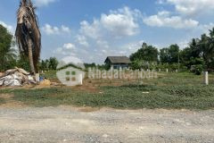 3000m2 đất có 300m2 thổ đường trương văn đa, xã bình lợi, bình chánh giá 11 tỷ