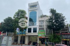 Bán tòa văn phòng 8 tầng mặt phố quang trung, hà đông dt 146m2, mt 6m. giá 70 tỷ