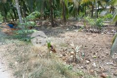 Bán 3 công đất view sông lớn 2 sổ riêng mặt tiền đường xe tải