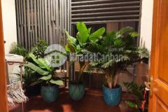 Bán gấp nhà xe hơi vào nhà khu vip ngay cmt8 hiếm tân bình