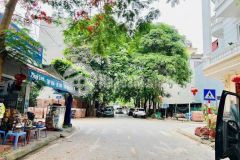 Bán lô đất mặt đường ngô sĩ liên, khu vạn lộc, ph tứ minh, tây hp, 69.8m2, mt 4.5m, giá rẻ