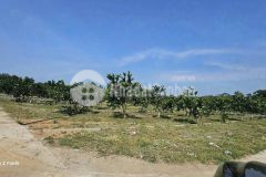 Chỉ với 4xxtr sở hữu ngay lô đất siêu đẹp dt 147m2 tại bảo hiệu, yên thủy, hòa bình