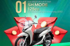 Đất nền trung tâm thành phố phan rang tiềm năng tăng giá mạnh