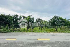 Bán đất thổ cư mặt tiền duyên hải, long hòa, cần giờ 17 x 84,5m, giá 46,5 tỷ.