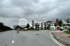 Bán biệt thự mặt phố thành trungtrâu quỳgia lâm 192m2 mt 10m đường 30m kinh doanh