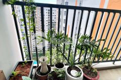 Bán căn góc safira khang điền tầng cao, nhiều sáng, nhiều gió, sổ sẵn