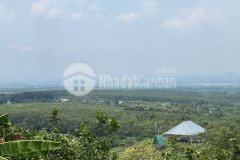 Thiên đường nghỉ dưỡng bên suối vườn cây, đồi xanh, chỉ 850 triệusào