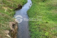 Bán đất vườn diên tân giáp suối nước chảy quanh năm sát bên hồ cây sung