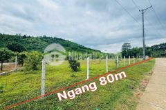 Bán đất khánh đông full thổ cư mặt tiền đường liên thôn bên hông chợ đi vào