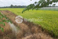 Bán đất tại huyện châu thành, tiền giang, 936,1 m2 sẵn shr chỉ 800 triệu lh0367463513.