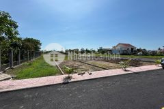 Siêu hiếm trung tâm tt.quất lâm chỉ 1 tỉ