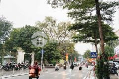 Bán nhà mặt phố nguyễn đình chiểu 42m2, 7t thang máy đẹp view công viên thống nhất