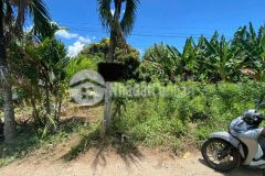 Bán đất tại châu phú an giang, dt 300m2 chỉ 650 triệu lh0962107270.