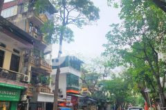 Bán nhà mặt phố cổ hàng cót 200m2 x 7 tầng, mặt tiền 17m đẳng cấp