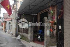 Trần cung 53m2 ngõ rộng sân rộng nhà rộng nhỉnh 8 tỷ xíu