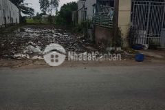 250m2 thổ cư mặt tiền đường huyện 19 xã tân trạch, cần đước, long an giá 1,8 tỷ