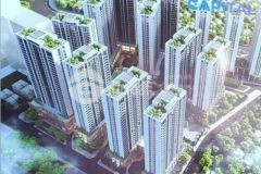 Capital square dự án căn hộ lớn nhất đà nẵng chính thức ra mắt
