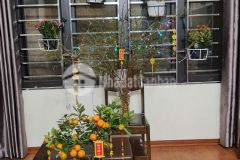 Lô góc, 5 tầng full nội thất, kđt dương nội