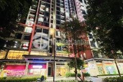 Bán cc masteri m2 vin ocean park 60m 2ngủ 2wc full nội thất nhập khẩu 4,x tỷ