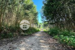 Bán đất diên tân ngang 35m giá chỉ 1tỷ4