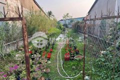 Đất mặt tiền đường tô vĩnh diện view bờ kè cái sơn hàng bàng