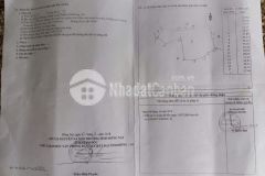 Bán gấp 2ha đất siêu đẹp tại cẩm đường giá chỉ 2 tỷsào