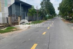 1600m2 có 250m2 thổ mặt tiền ấp 10, xã lương hòa,bến lức giá 15 tỷ