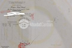 Cần bán 2950m2 đất trồng cây lâu năm ở ấp 23 tân nhựt bình chánh