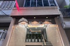 Bán tòa văn phòng nguyễn khang, cầu giấy, 9 tầng thang máy, hầm để xe ô tô, 75m2, 35 tỷ.