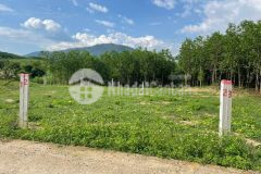 Bán đất khánh trung giá rẻ full thổ cư đường thông gần hoa quả sơn farm