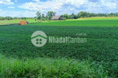 Bán đất giá rẻ mặt tiền sông cầu sáng hóc môn 3.760m² chỉ 13,5 tỷ
