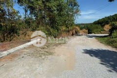 Đầu tư đất nền sinh lời ngay